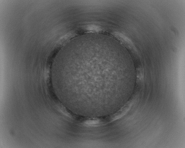 X0000113220369200909101155