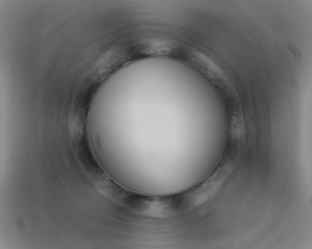 X0000113220370200909101155