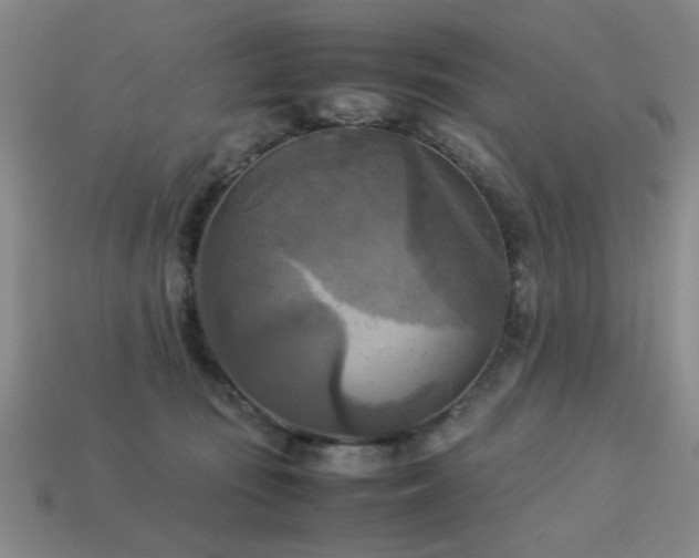 X0000113220371200909101155