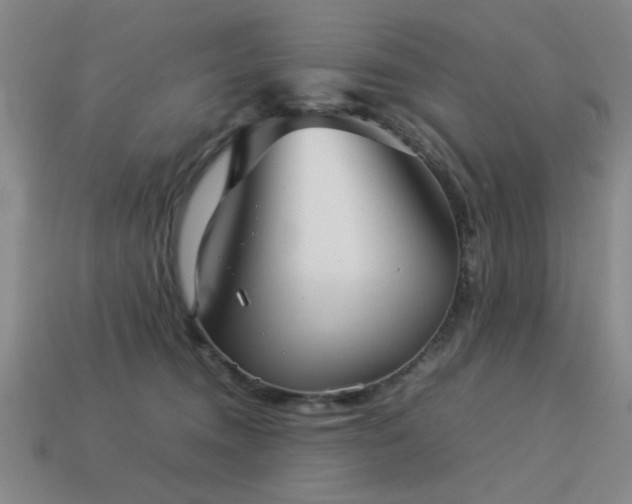 X0000113220372200909101155