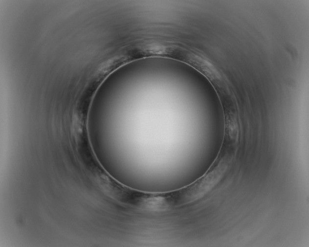 X0000113220374200909101155