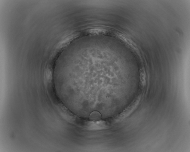 X0000113220375200909101155