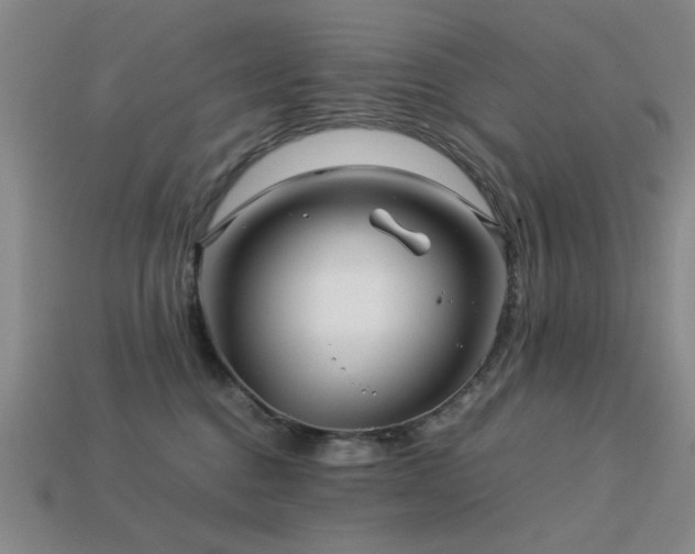 X0000113220376200909101155