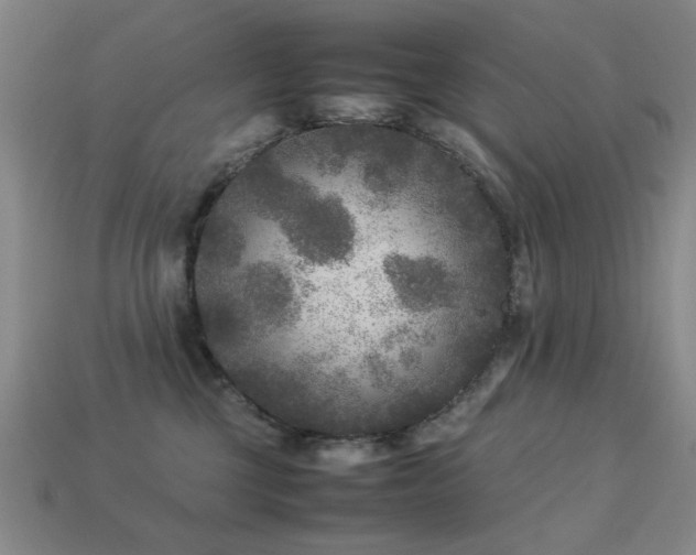 X0000113220377200909101155