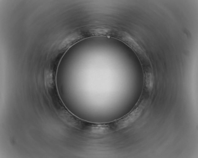 X0000113220378200909101155