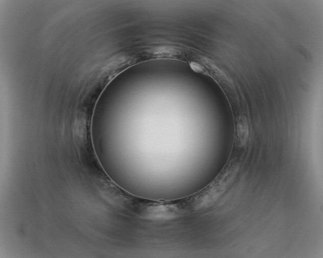 X0000113220379200909101155