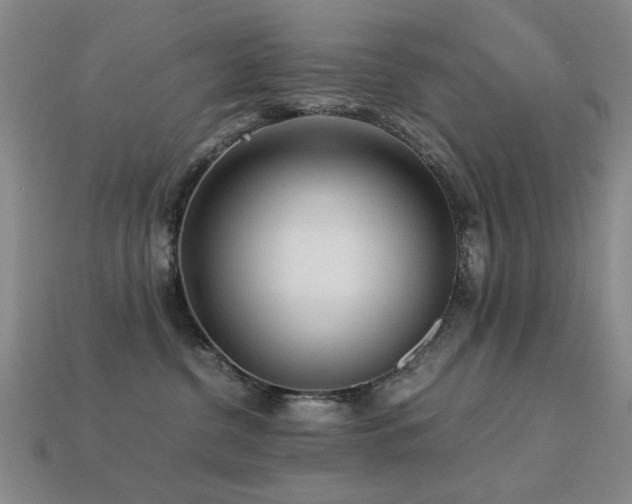 X0000113220380200909101155