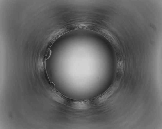 X0000113220381200909101155