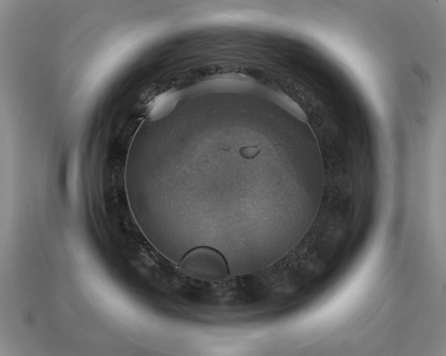 X0000113220382200909101155