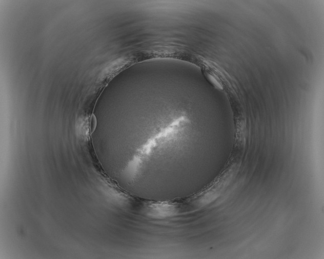 X0000113220383200909101155