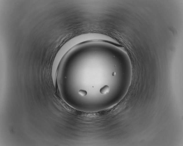 X0000113220384200909101155