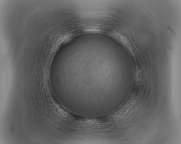 X0000113220385200909101155