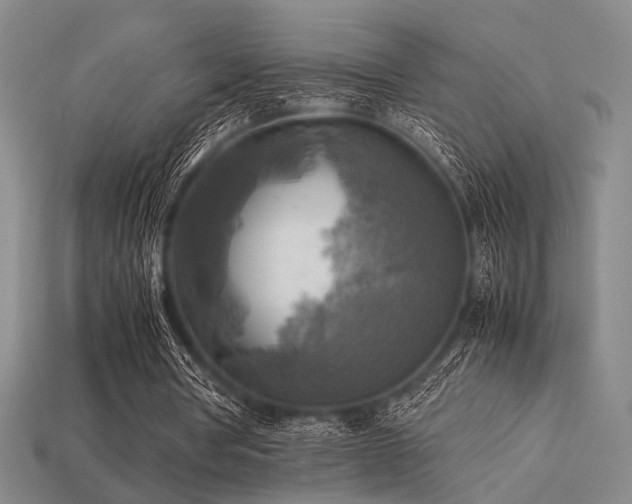 X0000113220386200909101155