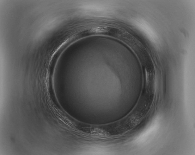 X0000113220387200909101155