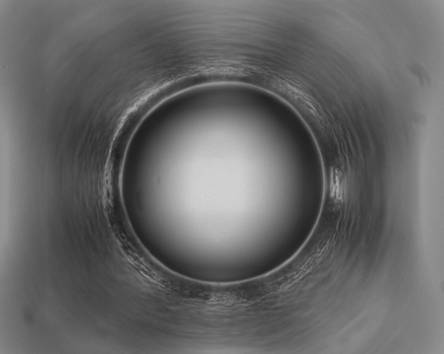 X0000113220388200909101155