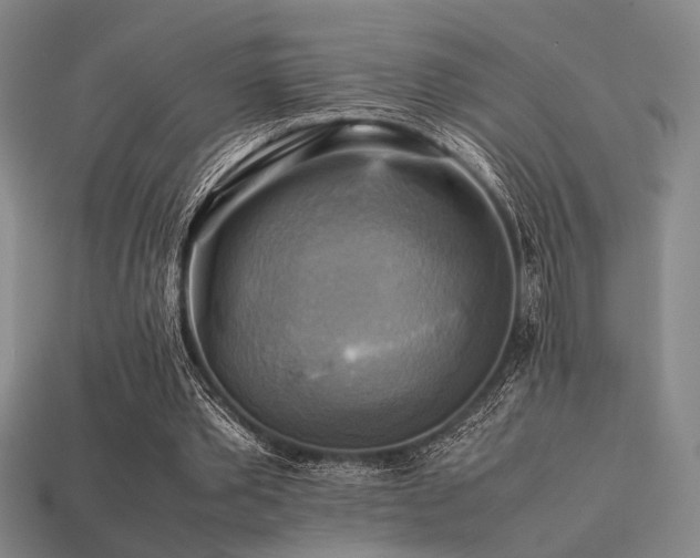 X0000113220389200909101155