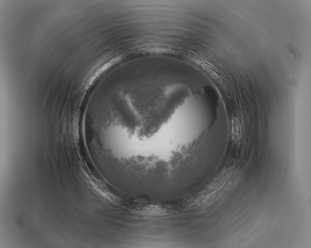 X0000113220390200909101155