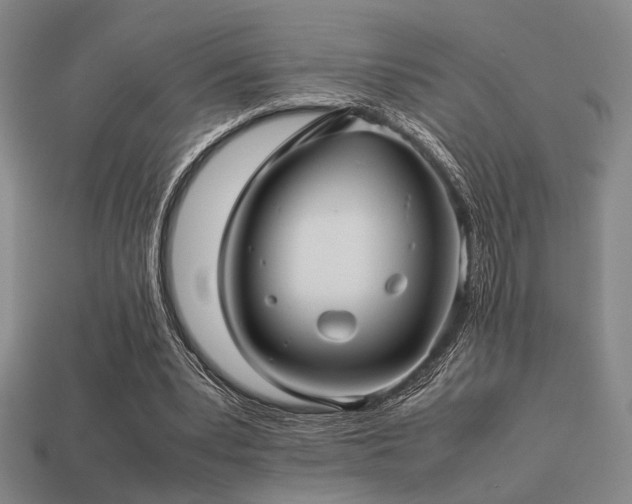 X0000113220391200909101155