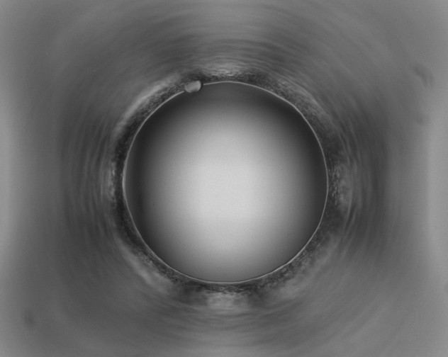 X0000113220400200909101154