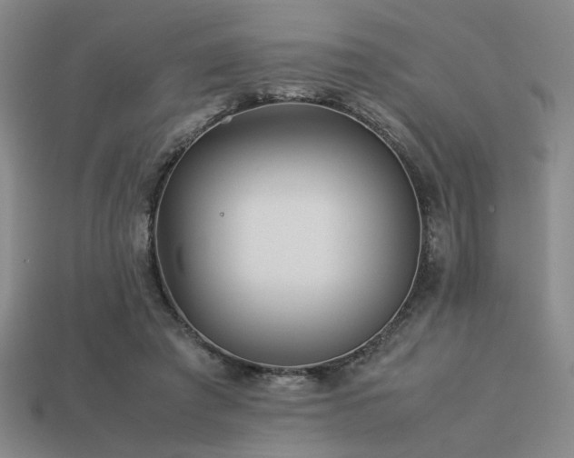 X0000113220401200909101154