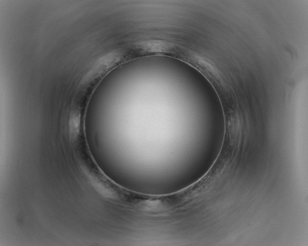 X0000113220406200909101154