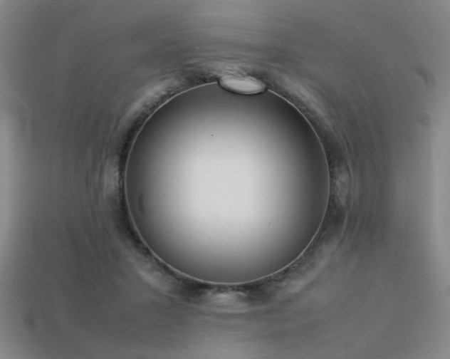 X0000113220407200909101154