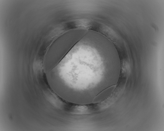 X0000113220409200909101154