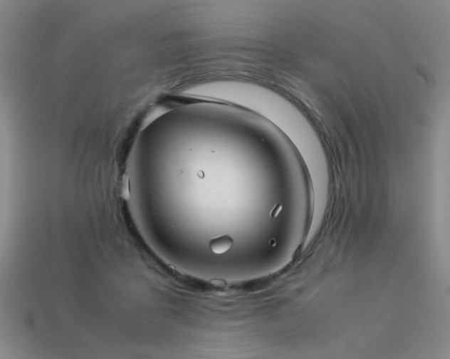 X0000113220411200909101154