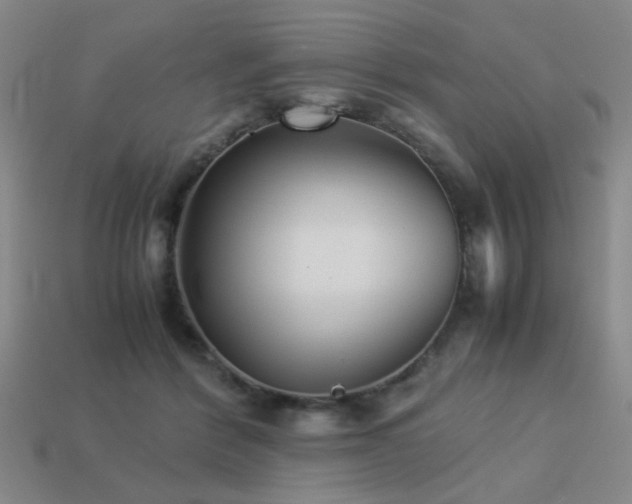 X0000113220412200909101154