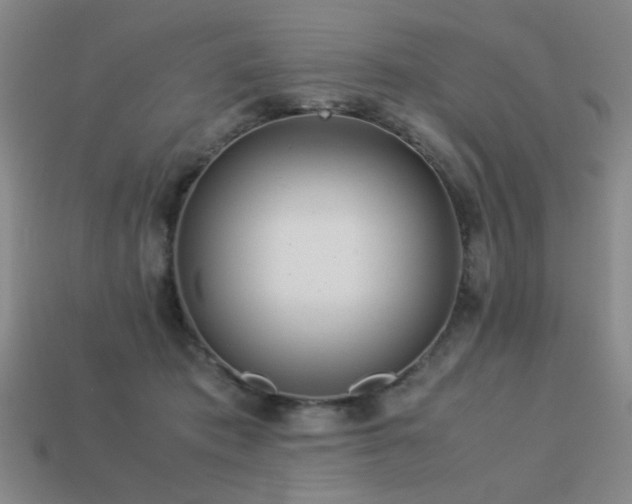 X0000113220413200909101154