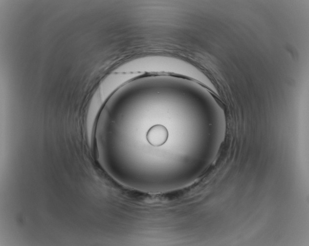 X0000113220415200909101154