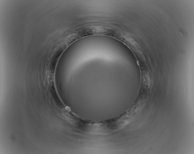X0000113220419200909101154