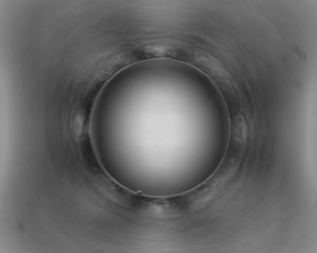 X0000113220420200909101154