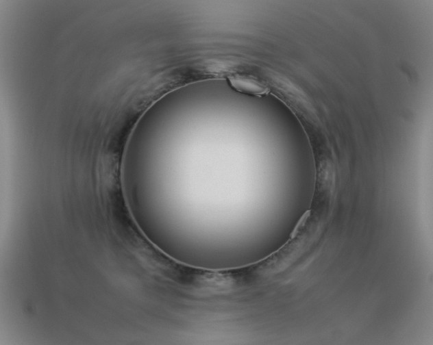 X0000113220421200909101154