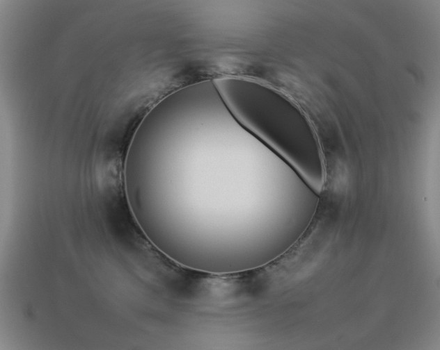 X0000113220425200909101154