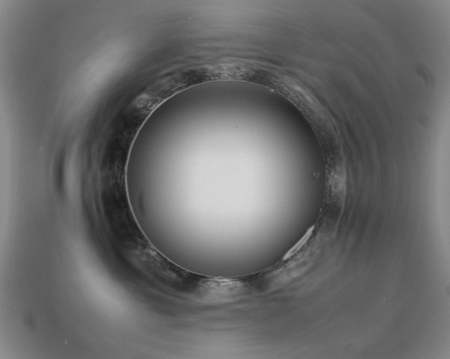 X0000113220429200909101154