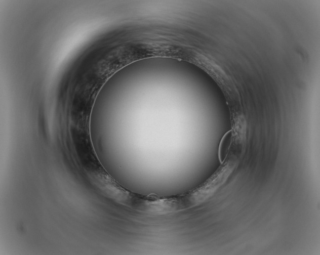 X0000113220430200909101154