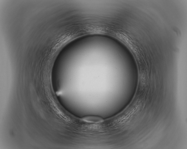 X0000113220433200909101153