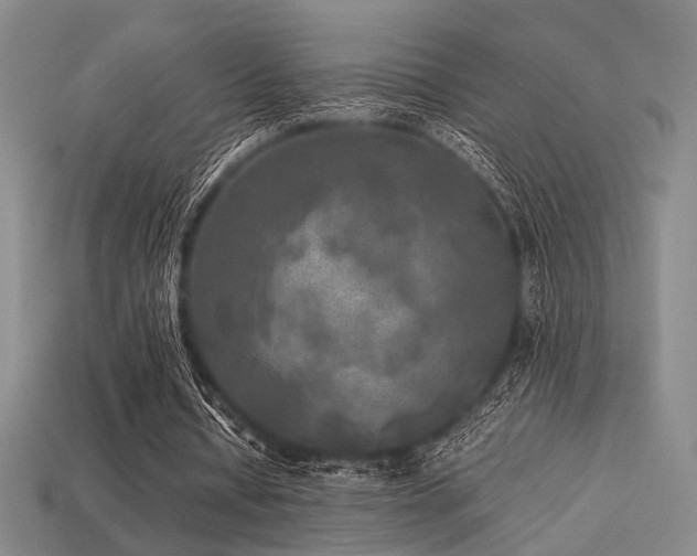 X0000113220434200909101153