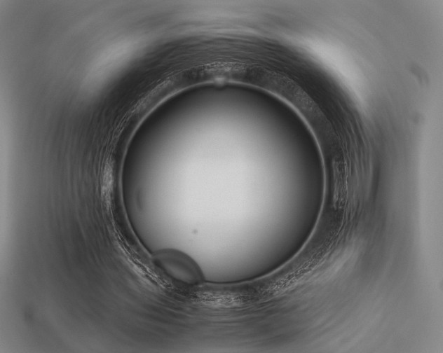 X0000113220435200909101153