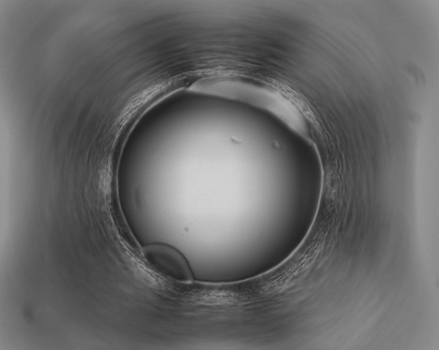 X0000113220437200909101153