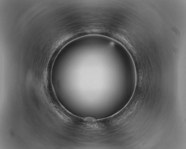 X0000113220439200909101153