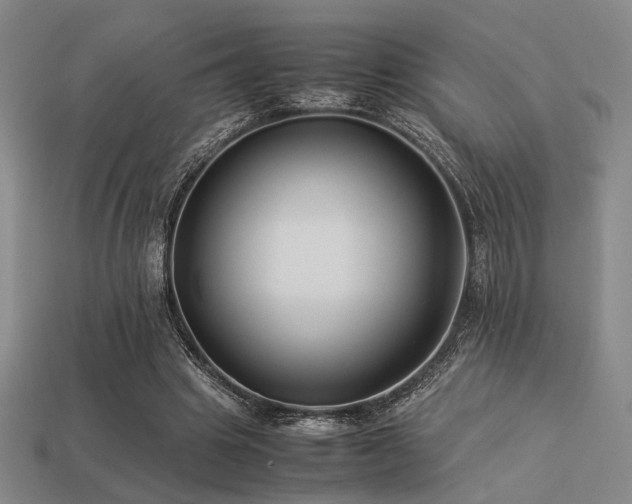 X0000113220441200909101153