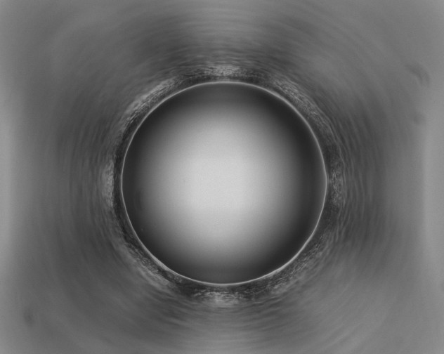 X0000113220442200909101153