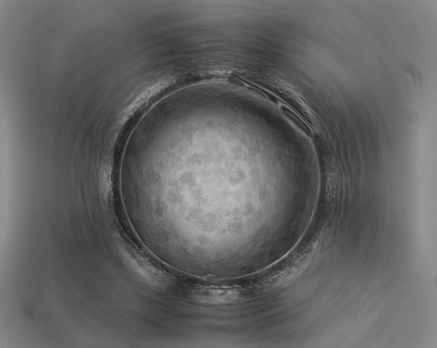 X0000113220443200909101153