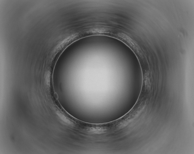 X0000113220445200909101153