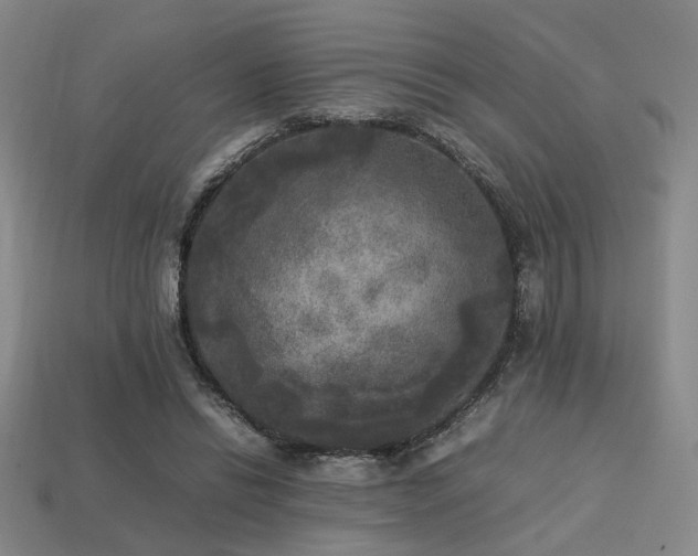 X0000113220446200909101153