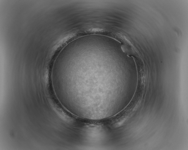 X0000113220447200909101153