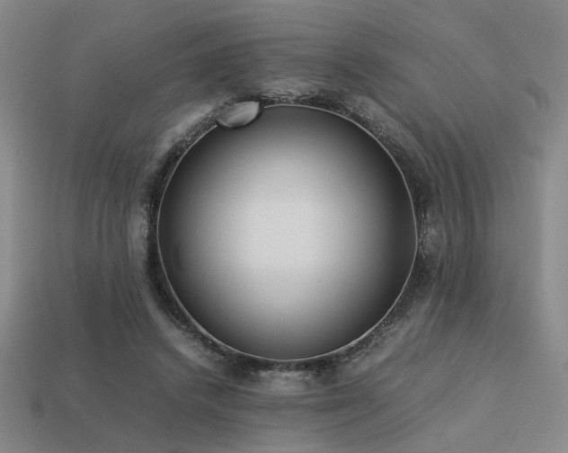 X0000113220448200909101153