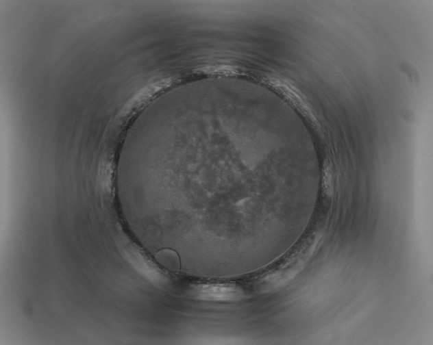 X0000113220449200909101153